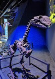 Museum of Natural Sciences of Barcelona