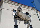 Arizona Museum of Natural History