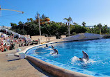 Aqualand Costa Adeje