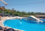 Aqualand Costa Adeje