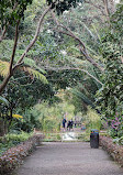 Botanical Garden