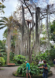 Botanical Garden