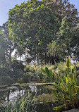 Botanical Garden