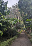 Botanical Garden