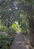 Botanical Garden