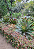 Botanical Garden