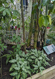 Palm House