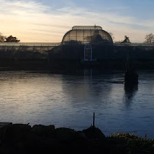 Palm House