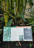 Palm House