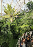 Palm House