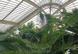 Palm House