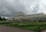 Palm House