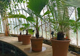 Palm House