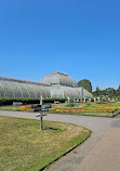 Palm House