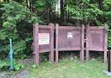 Brevoort Lake Picnic Site Hiawatha National Forest