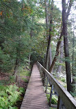 Tahquamenon Falls State Park