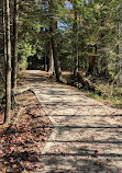 Tahquamenon Falls State Park