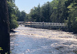 Tahquamenon Falls State Park