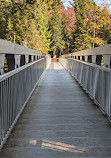 Tahquamenon Falls State Park