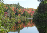 Tahquamenon Falls State Park