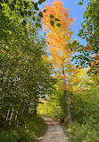 Tahquamenon Falls State Park