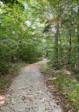 Tahquamenon Falls State Park