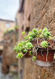 Civita di Bagnoregio