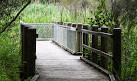 Warriewood Wetlands