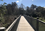 Warriewood Wetlands