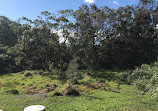 Warriewood Wetlands