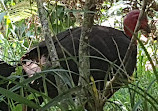 Warriewood Wetlands