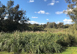 Warriewood Wetlands