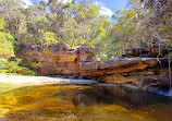 Warriewood Wetlands