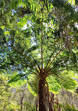 Warriewood Wetlands