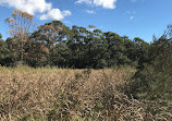 Warriewood Wetlands