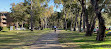 Narrabeen Lagoon