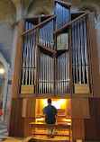 Arezzo Cathedral