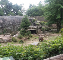 Zoológico del Bronx