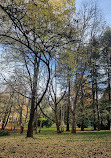 Emerald Lake Car Park