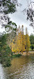 Emerald Lake Car Park