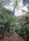 Emerald Lake Car Park