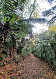 Emerald Lake Car Park