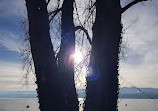 Strandbad Tiefenbrunnen