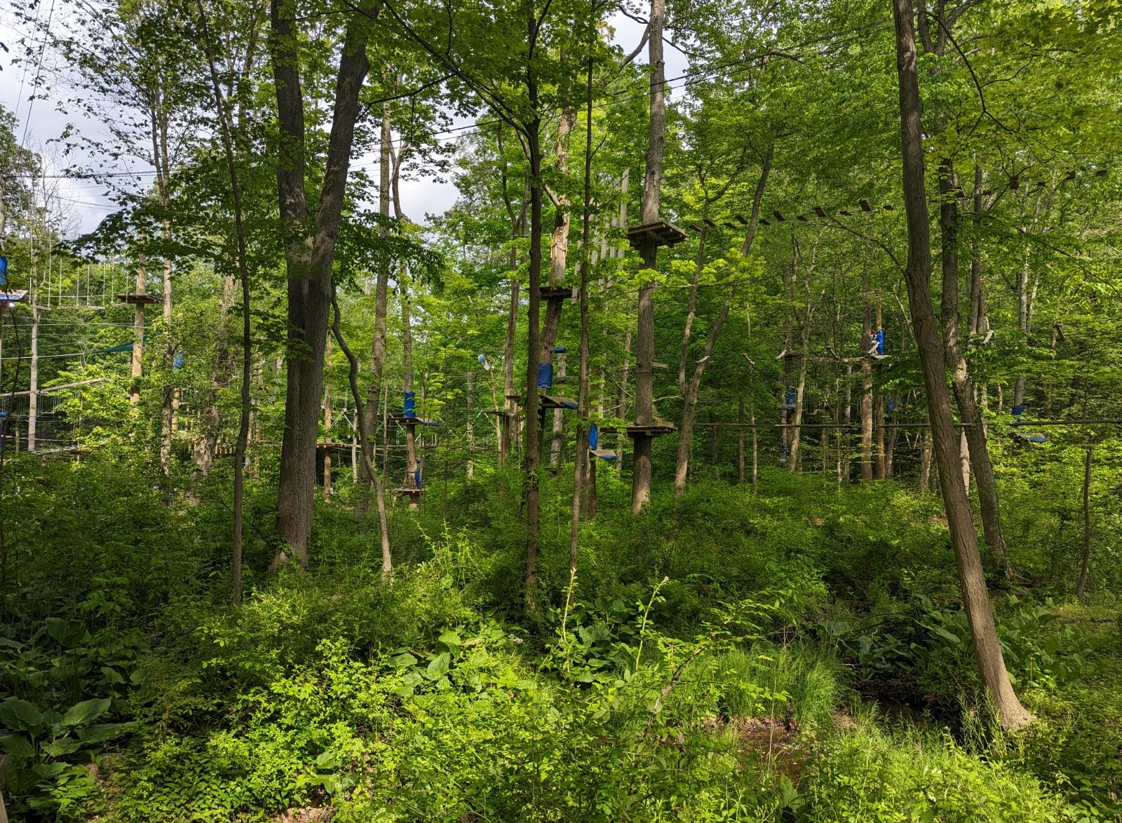 Boundless Adventures - New York City Zipline and Aerial Park