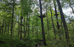 Boundless Adventures - New York City Zipline and Aerial Park