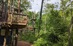 Boundless Adventures - New York City Zipline and Aerial Park