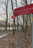 Rezerwat Przyrody Morysin