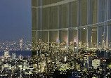 Tokyo City View