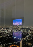 Tokyo City View