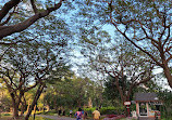 Queen Sirikit Park